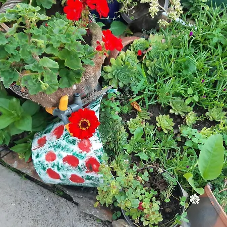 Seosko Turisticko Domacinstvo Stojkovic * Aleksinac