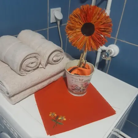 Seosko Turisticko Domacinstvo Stojkovic * Aleksinac