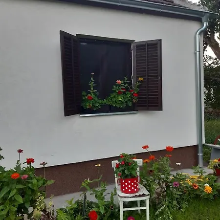 Apartment Seosko Turisticko Domacinstvo Stojkovic *