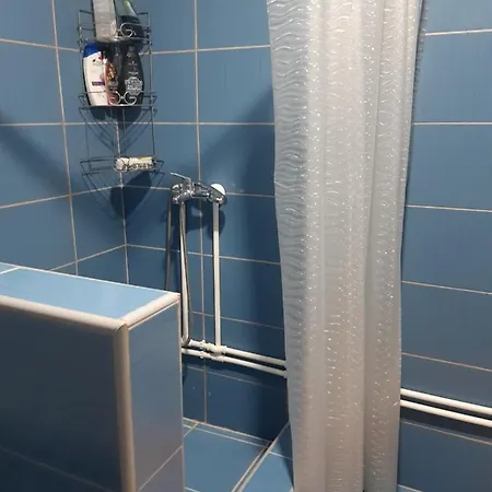 Apartament Seosko Turisticko Domacinstvo Stojkovic Aleksinac