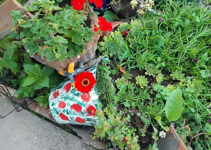 Seosko Turisticko Domacinstvo Stojkovic * 阿莱克西纳茨