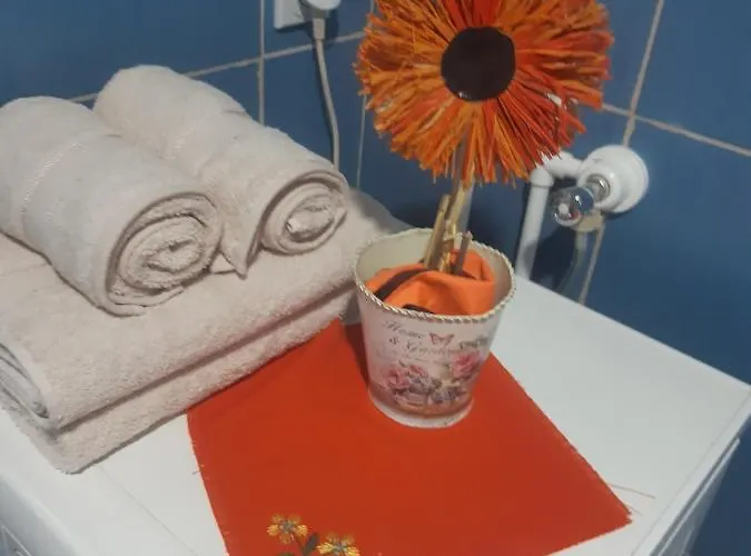 Seosko Turisticko Domacinstvo Stojkovic * 알렉시나츠