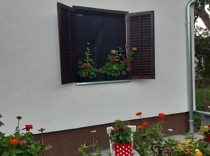 公寓 Seosko Turisticko Domacinstvo Stojkovic *