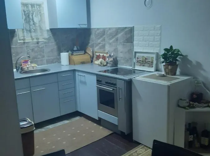 Seosko Turisticko Domacinstvo Stojkovic 阿莱克西纳茨