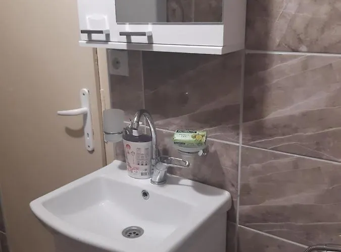 Seosko Turisticko Domacinstvo Stojkovic * 阿莱克西纳茨