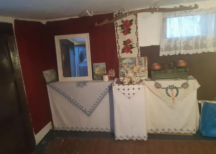 公寓 Seosko Turisticko Domacinstvo Stojkovic 阿莱克西纳茨