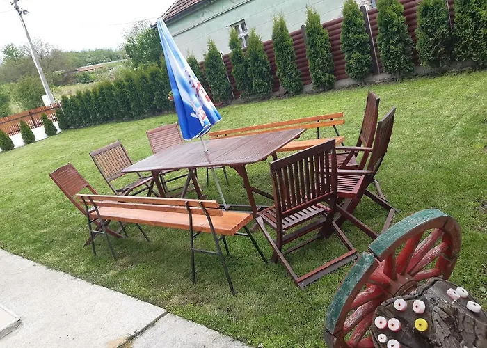 Seosko Turisticko Domacinstvo Stojkovic 公寓 阿莱克西纳茨