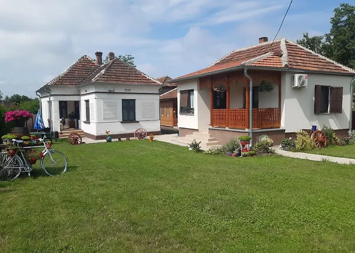 公寓 Seosko Turisticko Domacinstvo Stojkovic 阿莱克西纳茨